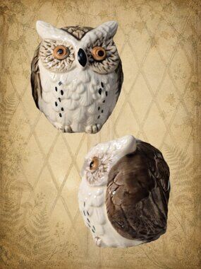Peculiar Passages 🚪🧚‍♂️ Vintage Japan Owl Salt & Pepper Shakers Ceramic Set